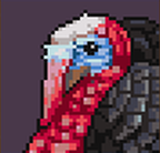 An image of a turkey gobbler, a small forest bird known for the distinctive red flaps of skin that hang from its face.