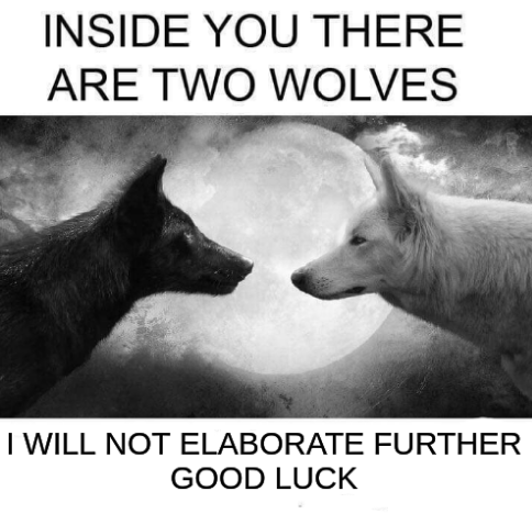 Two wolves meme