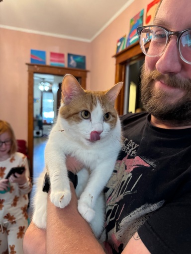 A squishy short hair orange creamsicle cat licks her chops while held captive, hurriedly destroying the evidence of chocolate pie theft, which still stains her whiskers and paws