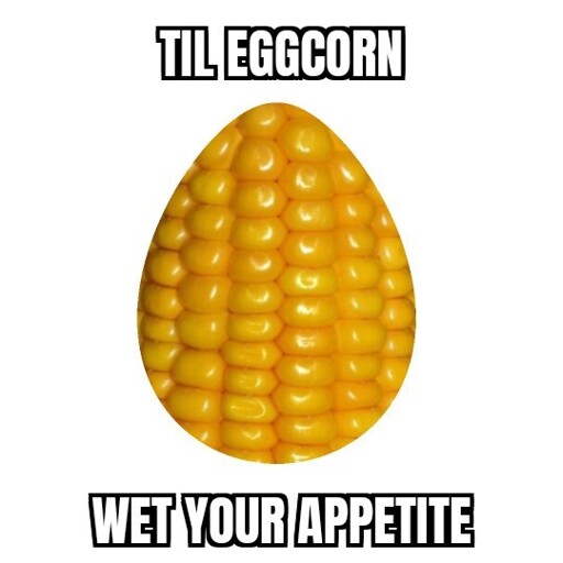 corn in the form of an egg. Text: TIL Eggcorn, wet your appetite